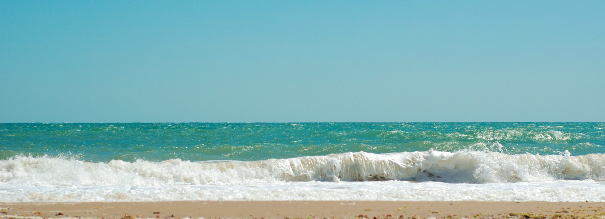 Sian Ocean Residences
Beachfront Condo rentals by Owner
The Direct way to rent from owners, no intermediate